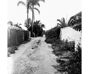 Throwing Muses - Sun Racket (Monochrome Edition)