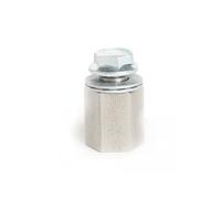 Thule E-bikes M12x1.25 Internal Adapter Argenté