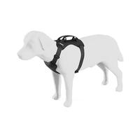 Thule Cappy Harnais pour Chien M - Testé en Cas de Collision - Passthrough de Ceinture de sécurité - Réglable et Facile à Nettoyer - Panneaux rembourrés en Maille Respirante - Boucle de Laisse