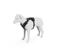 Thule Dart Harness Harnais pour Chien Black, XS