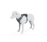 Thule Dart Harness Harnais pour Chien Dark Slate, S