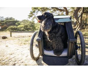 Thule Panier pour chien pour Bexey gris