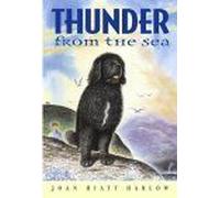 Thunder From The Sea