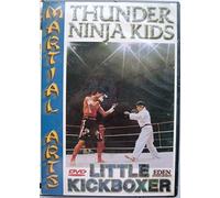 Thunder Ninja Kids: Little Kickboxer [Import USA Zone 1]