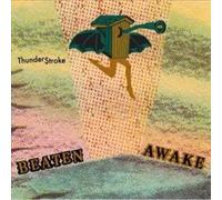 Beaten Awake - Thunder$troke