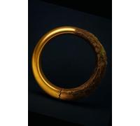 Thunderclap: Panics, Kinship, and the Hidden Architecture of the Financial World