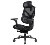 ThunderX3 Chaise gaming FLEX Pro ergonomique en mesh Noir