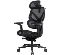 ThunderX3 Fauteuil ergonomique Flex Pro Mesh (Noir) Noir G