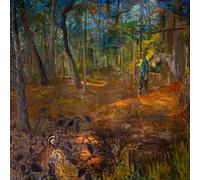 Pony Bradshaw - Thus Spoke The Fool [Compact Discs]