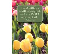 Thy Word is a Lamp unto my feet, and a Light unto my Path. Psalm 119:105: Guided Bible Scripture Resource