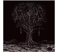 Thyrfing - Farsotsider [Import]