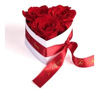 Ti Amo 3 Roses éternelles - boîte à Fleurs en Forme de cœur 10x12 cm Roses Rouges Longue durée de Vie 3 Ans - Cadeau Amour pour Femmes - ROSEMARIE SCHULZ Heidelberg (Ti Amo, Rouge)