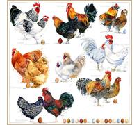 ti-flair Lot de 20 serviettes de table de différents types de poules - Animaux - Ferme - Pâques - Décoration de table - Découpage - Technique de serviette 33 x 33 cm