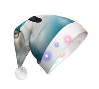 Tianbaozdp Chapeau de Noël fantaisie à LED avec motif dauphin qui vous regarde, chapeau de Père Noël coloré