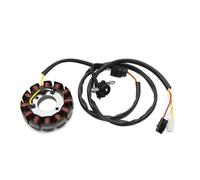 Tiantian - Store Bobine de stator de magnéto for générateur de moto compatible avec YAMAHA WR450F WR450