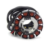 Tiantian - Store Bobine de stator de moto compatible avec YAMAHA WR 450 WR450F 2003-2006