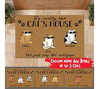 TIANTURNM Paillasson Interieur Entree C'est la Maison du Chat Que Nous venons de Payer Le Chat hypothécaire nom personnalisé paillasson décor à la Maison Home Chambre Cadeau 20"x32"
