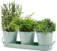 TIANYI-3 Pots à Herbes Aromatiques en Métal,Pot à Herbes Plantes D'intérieur Plateau,Cultivez des Fraîches chez Vous Jardinière Rebord de Fenêtre pour Basilic,Menthe, Persil,Fraîches