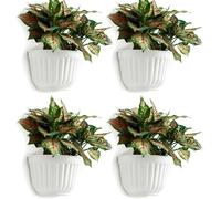 TIANYI-4 Pack Résine Tenture Murale Pot De Jardinière Vertical Jardin Salon Montage Mural Fenêtre Suspendre Plante Panier De Fleurs pour Herbes Balcon Balustrade Étagère Clôture Chambre Treillis Déco
