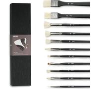 TIANYI-ARTIFY Lot de 11 pinceaux de Peinture à l'huile Professionnels pour Peinture à l'huile, pinceaux en Poils de Porc avec Un Pinceau en Nylon supplémentaire, pour Huile, Acrylique et Gouache