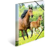 TIANYI-BlackShark V2 PRO 2023 Edition ¿ Coussin d'oreille de rechange compatible avec casque de jeu sans fil Razer BlackShark V2 Pro édition 2023 (ne convient pas au modèle 2020-2022)