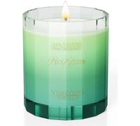 Tianyi-Bougie Parfumées Menthe Et Citron Vert 300 G, Jusqu`À 60 H De Combustion, Son Parfum Agrumé Et Vivifiant Crée Une Ambiance Tonique, Dynamise Les Espaces Modernes, Cadeau Parfait Pour Femmes