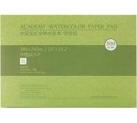 Tianyi-Carnet Aquarelle 38 X 26cm : 20 Feuilles De Carnet De Papier Aquarelle 100% Coton - Grain Fin - 300 Gsm Bloc De Papier Aquarelle Sans Acide Pour Aquarelle Gouache Encre