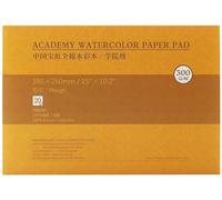 Tianyi-Carnet Aquarelle 38 X 26cm : 20 Feuilles De Carnet De Papier Aquarelle 100% Coton - Grain Torchon - 300 Gsm Bloc De Papier Aquarelle Sans Acide Pour Aquarelle Gouache Encre