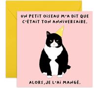 Tianyi-Carte D'anniversaire Sympa - 'un Petit Oiseau M'a Dit Que C'était Ton Anniversaire' - Carte D'anniversaire Pour Chat - Comédie - Pour Les Hommes Et Les Femmes - Lui Ou Elle