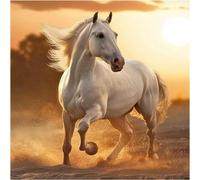 Tianyi-Diamond Painting Carré Cheval 40x40cm - Broderie Diamant Chevaux Noir Et Blanc - Peinture Diamant Paysage Plage Coucher De Soleil - Grand Format Animaux
