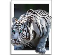 TIANYI-DIY 5D Diamond Painting Grand Format Tigre Blanc Tableau Decoration Murale Salon 60x40 cm