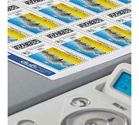 Tianyi-Étiquettes Adresse Autocollantes Blanches 99,1 X 57 Mm L7173-15 - Pack De 150 - Impression Laser Anti-Bourrage