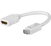 TIANYI-Goobay 51745 Adaptateur Mini DVI/HDMI, Blanc, 0.1m Longueur de Câble