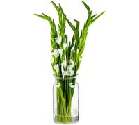 Tianyi-Grand Vase Decoratif A Poser Au Sol H: 29.5 Cm Vase Verre Transparent Vase Haut Pour Pampa Vase Rond En Verre Vase Cylindrique Vase Sol Vase Pour Muguet Ø 16 Cm Sunflower