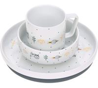 Tianyi-Lässig Service De Table Occasionnel Assiette En Porcelaine Assiette Bol Tasse/Dish Set Porcelain Garden Explorer Boys