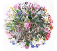 Tianyi-Lot D'autocollants De Fleurs, 240pcs Stickers Décoratifs Transparents Pour Animaux De Compagnie, 6 Thèmes De La Nature Autocollants De Plantes Pour Scrapbooking, Arts, Bullet Journal, Cahier