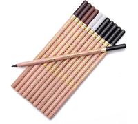 Tianyi-Lot De 12 Crayons De Fusain Couleurs Professionnels - Matériel De Dessin Pour Débutants, Artistes Et Enfants