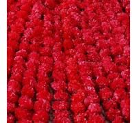 Tianyi-Lot De 5 Guirlandes De Soucis De 1,4 M Pour Halloween Diwali Pooja Décoration De Cheminée De Mariage Guirlande De Fleurs Artificielles Fleurs De Noël Décoration De Festival D'automne \U2013 Ro