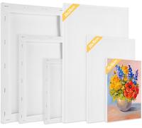 Tianyi-Lot De 6 Toile A Peindre, Toile A Peindre Encadrées 30x20 20x15 15x10 Cm, 100% Coton, Sans Acide, Chassis Pour Toile De Bois Tendue, Parfaites Pour Aquarelle Acrylique, Artistes Et Débutants