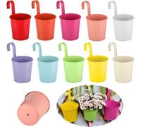 Tianyi-Macetas Para Colgar Exterior ¿ Pots De Fleurs À Suspendre - Pots De Fleurs À Suspendre 10 Piezas - Macetas Exterior De Metal Con Gancho Extraíble Y Drenaje, Para Jardín, Terraza, Ventana (10 C