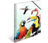 TIANYI-MHW-100, Casque sans Fil ARGB Flow, Microphone ENC Amovible, Réduction Bruit Active ENC + Passive, Windows/PS4/PS5/XBOX One/Xbox Series XS/Mac/Switch/Switch 2/Smartphone/Tablette, Blanc