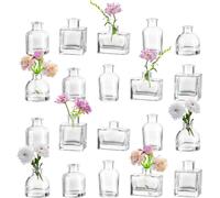 Tianyi-Mini Vase Transparent Verre: 20pièces Petit Vase Decoratif Design Soliflore En Verre Pour Decoration Mariage Maison