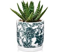 TIANYI-Pot de fleurs en céramique vert jade de 14 cm avec soucoupe et trou de drainage, pot de fleurs décoratif avec vernis craquelé, poterie de fleurs pour plantes grasses, orchidées, cactus