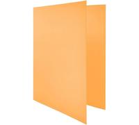 Tianyi-Raylu Paper - Classeur A4 Avec 4 Anneaux En D De 25 Mm, Classeur A4 Rigide Pour Le Rangement De Documents, Format A4 33,5 Cm De Haut Par 26 Cm De Large Et Un Dos De 4 Cm D'épaisseur (Orange Pa