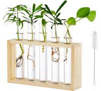 Tianyi-Station De Propagation De Jardinière En Verre Suspendue De Table Moderne 5 Tube À Essai Vase De Bourgeon De Fleur En Support En Bois Pour Plantes Hydroponiques Boutures Bureau Décoration