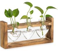 Tianyi-Terrarium Plante En Verre Pour Maison: Vase Fleur Lot De 3 Vases En Forme De Coeur Pour Salon Serre Table Fenêtre Décoration - Station De Bouturage Vase Décoratif Pour Plantes Hydroponie
