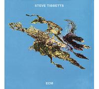 Tibbetts, Steve - Big Map Idea