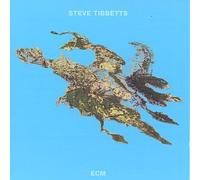 Tibbetts, Steve - Big Map Idea