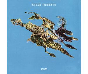 Tibbetts, Steve - Big Map Idea