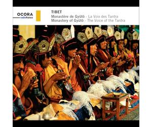 Tibet : Monastère de Gyütö - la Voix des Tantra